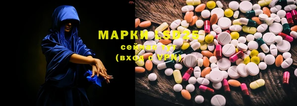 спайс Алзамай