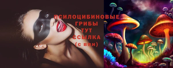 PSILOCYBIN Алексеевка