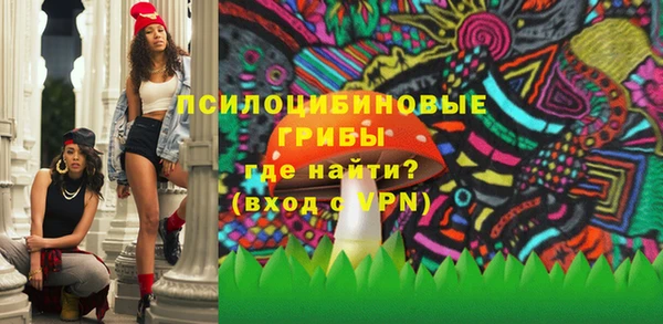PSILOCYBIN Алексеевка
