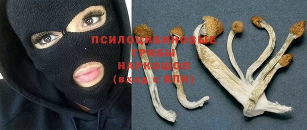 PSILOCYBIN Алексеевка