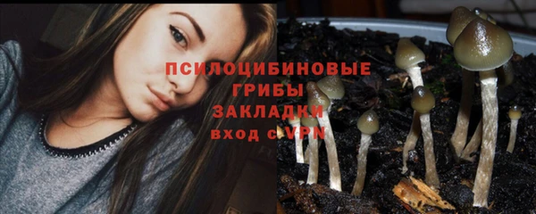 спайс Алзамай